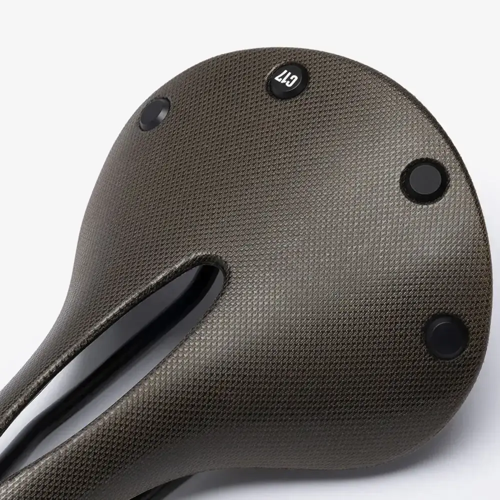 Brooks Cambium C17 saddle