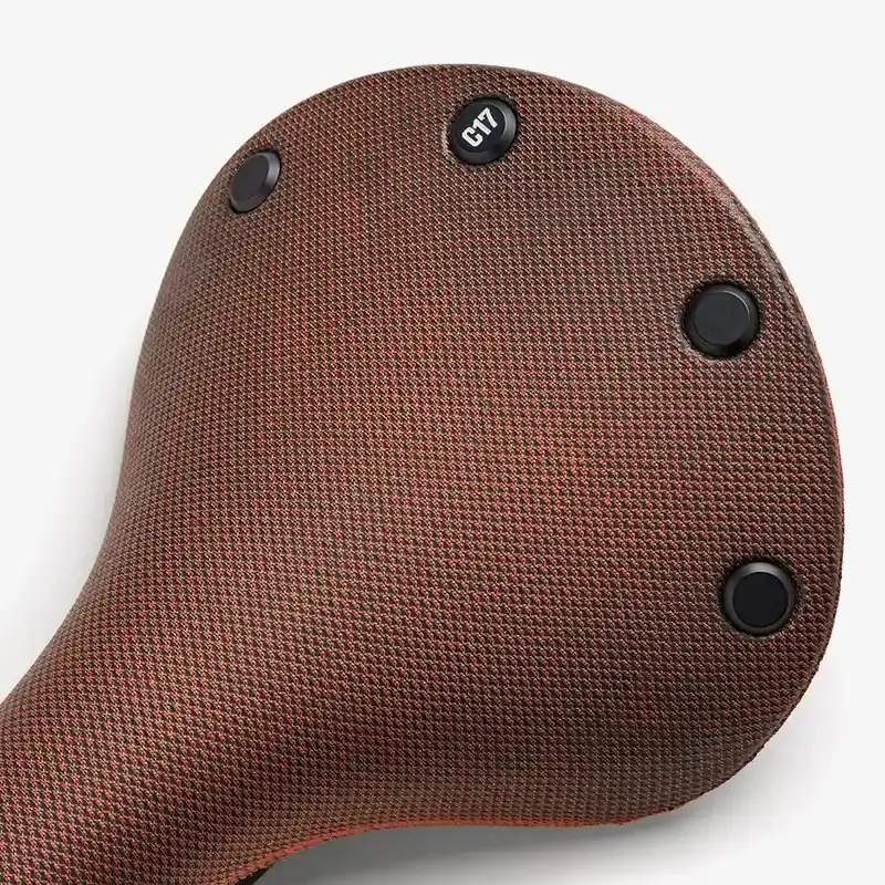 Brooks Cambium C17 saddle image 2
